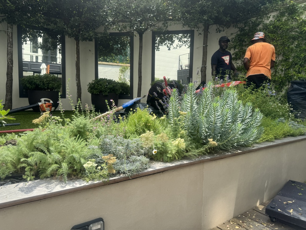 Paysagiste à Asnières – Entretien et maintenance de terrasses et jardins