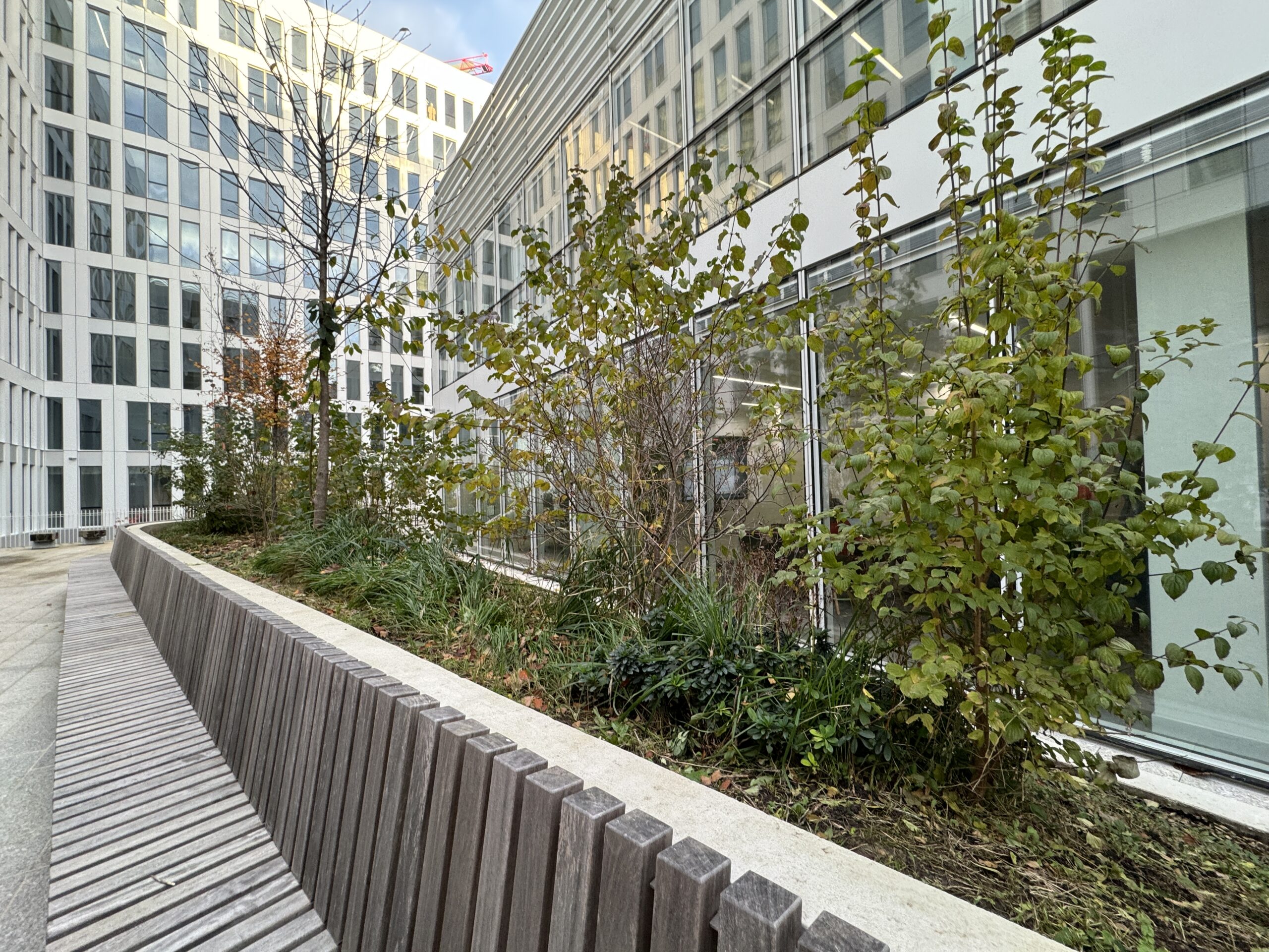 Eco-paysagiste à la Défense : Audit et entretien éco-responsable des espaces verts au service de votre transition écologique.