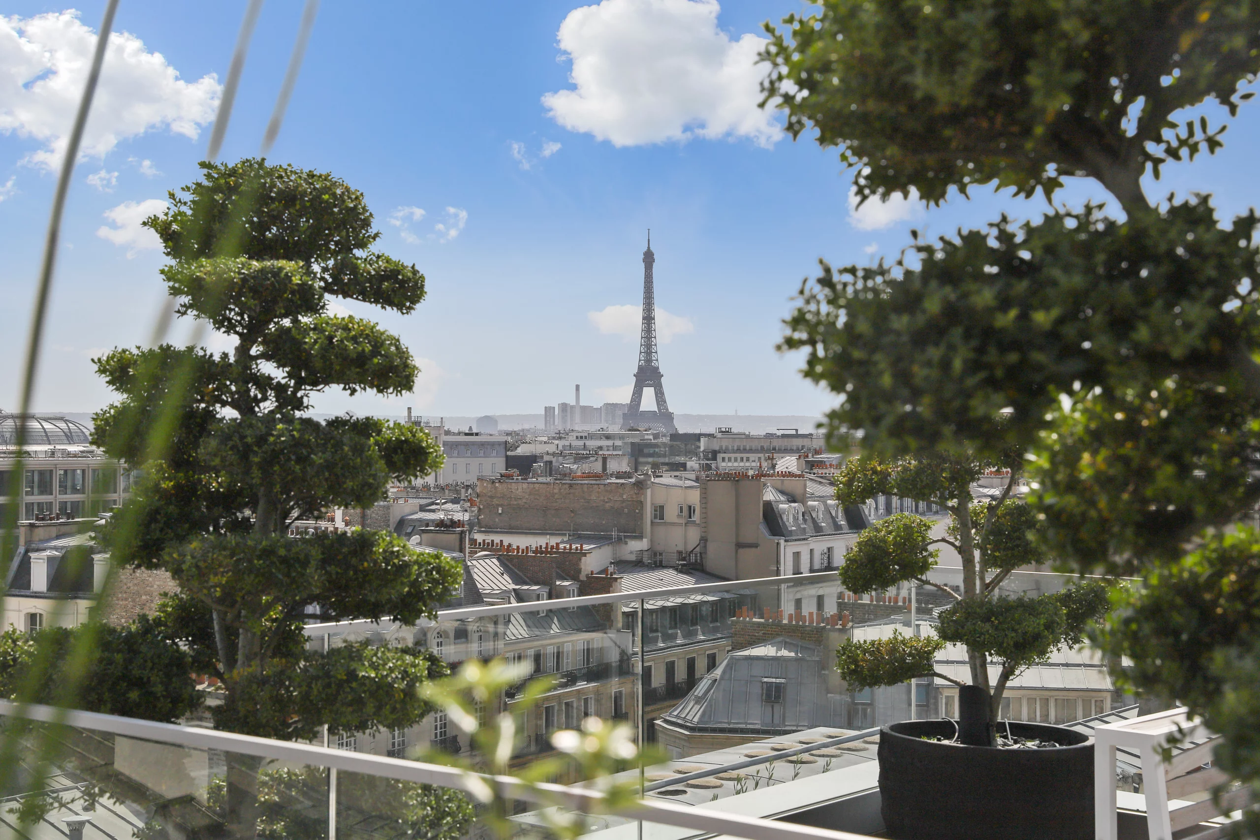 Entretien espaces verts Paris : faites confiance aux pros